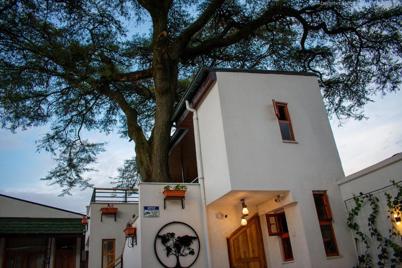 Choice Guest House 2 Addis Abeba Eksteriør bilde